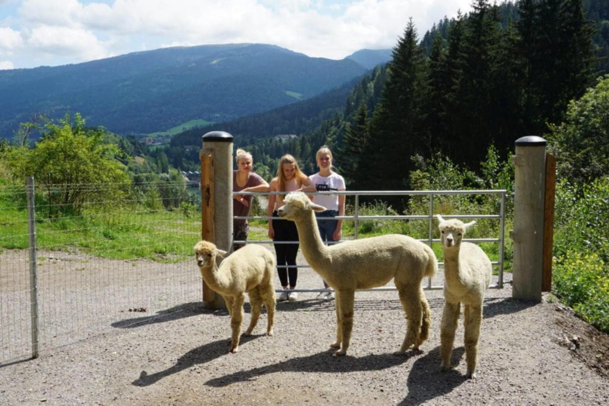 Vitalhof Am Kreischberg By Alps Resorts Bodendorf  Екстер'єр фото